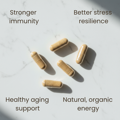 Premium Root Astragalus Capsules