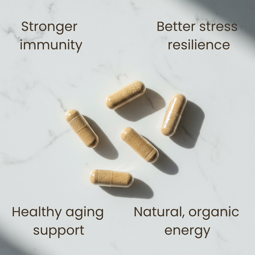 Premium Root Astragalus Capsules