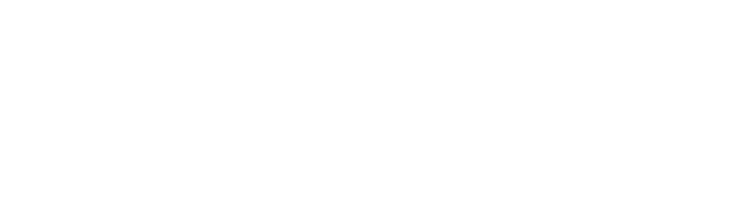 Reviv
